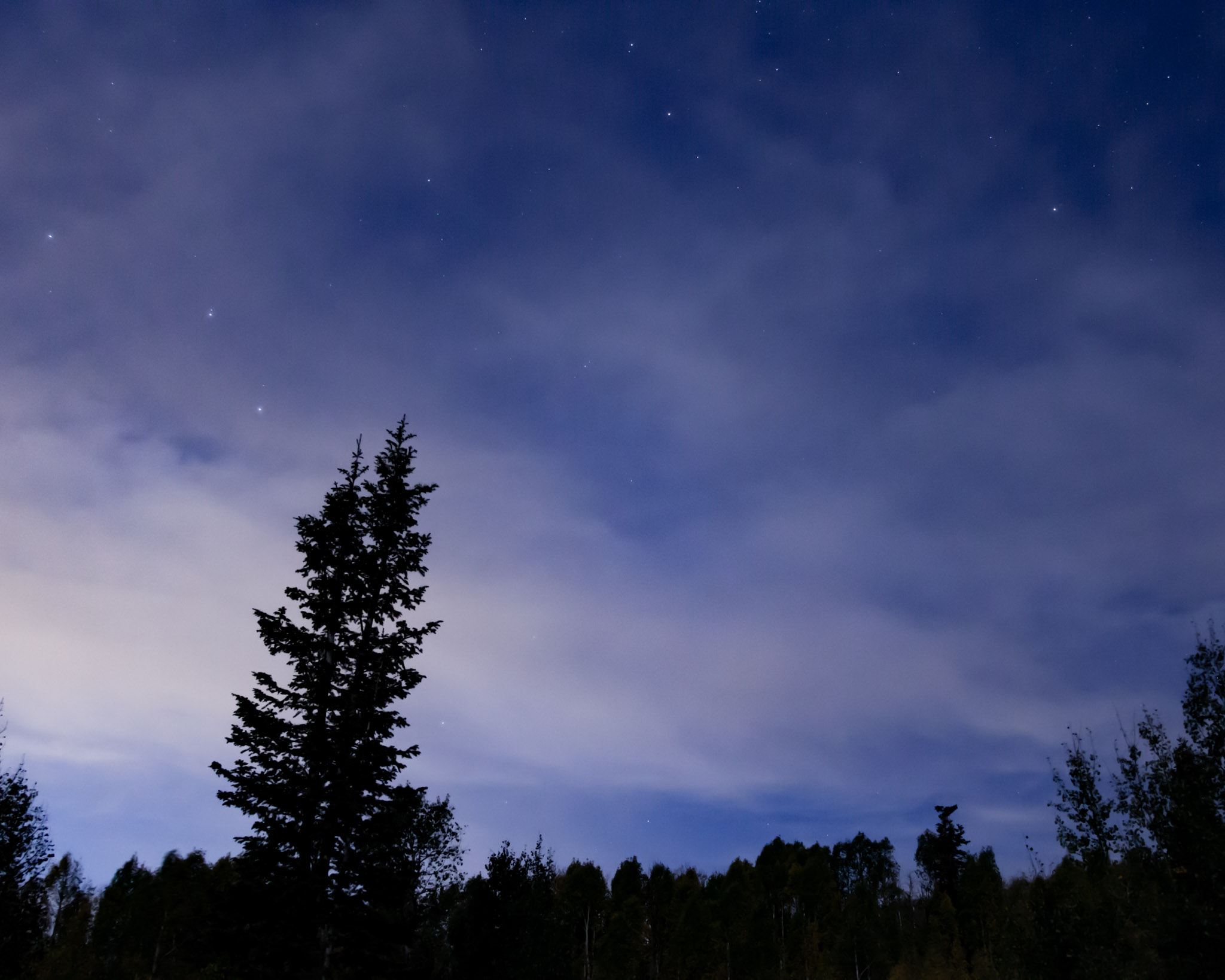 the big and little dipper stars visible from behind clouds, a fir tree silhouetted